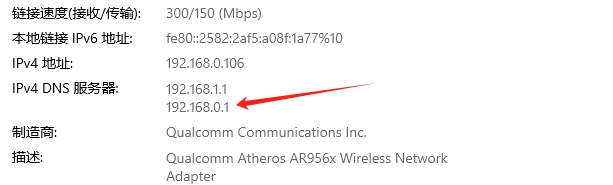 ipv4 dns(w)ַ